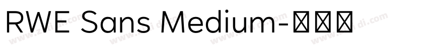 RWE Sans Medium字体转换 RWE Sans Medium字体转换